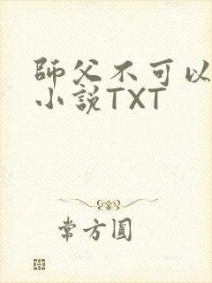 师父不可以灵犀小说TXT