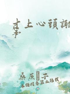 才上心头谢柳陆筝