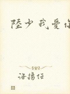 陆少 我爱你