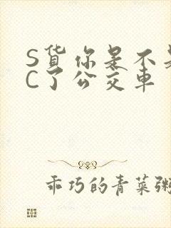 S货你是不是欠C了公交车