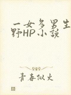 一女多男生活狂野HP小说