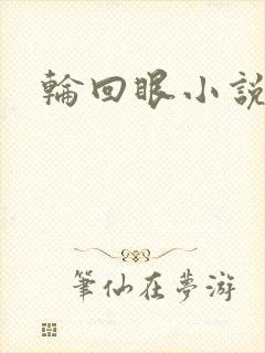 轮回眼小说