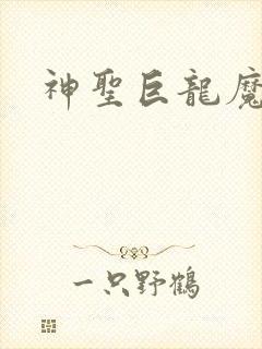 神圣巨龙魔法师