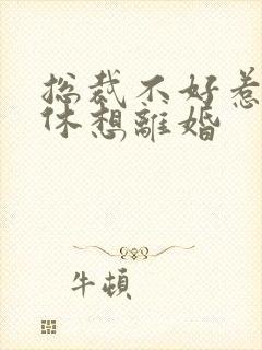 总裁不好惹女人休想离婚