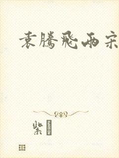 袁腾飞两宋风云