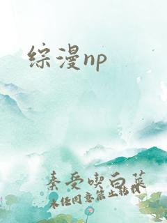 综漫np