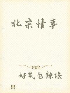北宋情事