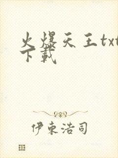 火爆天王txt下载