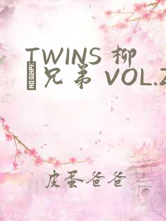 TWINS 柳澤兄弟 VOL.2