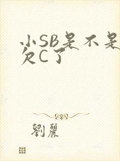 小SB是不是又欠C了