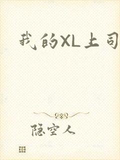 我的XL上司