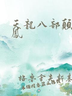 天龙八部颠龙鸾凤