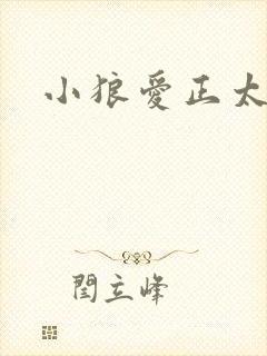 小狼爱正太