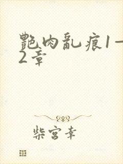 艳肉乱痕1—12章