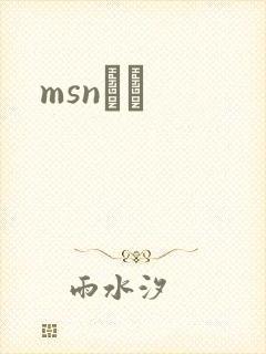 msnС˵