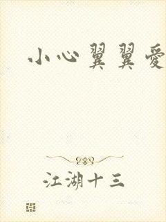 小心翼翼爱上你