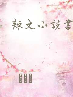 辣文小说书包网