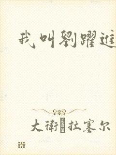 我叫刘跃进下载