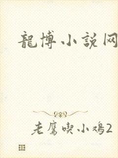 龙博小说网