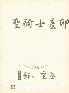 圣骑士产卵记