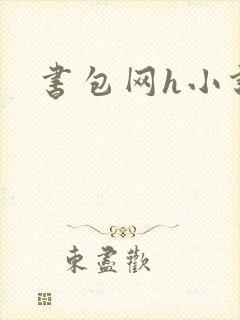 书包网h小说