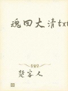 魂回大清txt