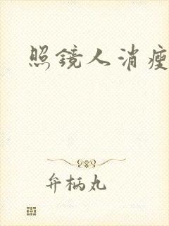 照镜人消瘦小说