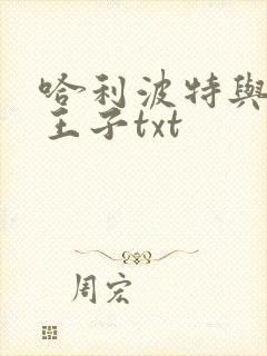 哈利波特与混血王子txt