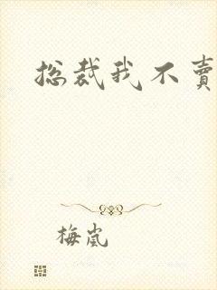 总裁我不卖宝宝