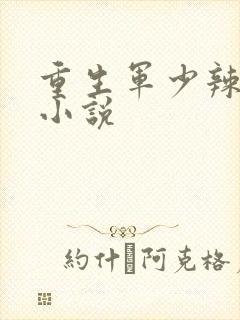 重生军少辣娇妻小说