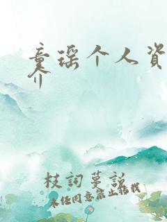 童瑶个人资料简介