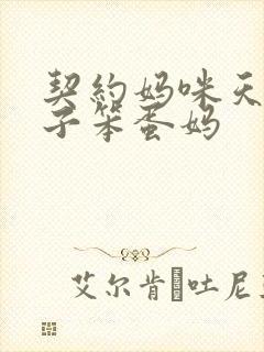 契约妈咪天才儿子笨蛋妈