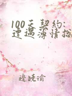 100天契约:遭遇薄情总裁