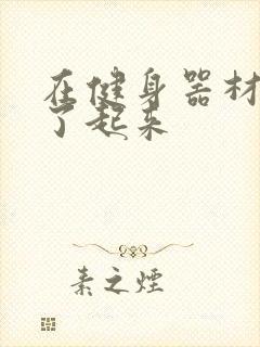 在健身器材上做了起来