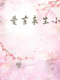 爱有来生小说