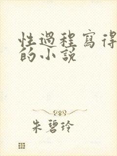 性过程写得详细的小说