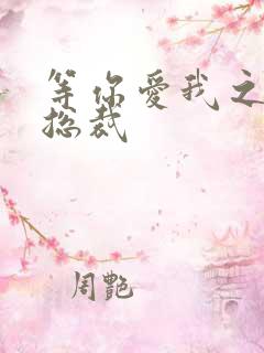 等你爱我之冰山总裁