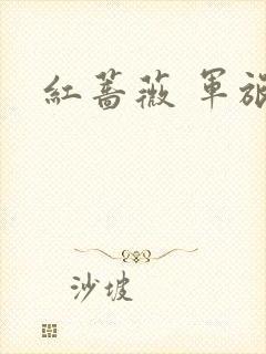 红蔷薇 军旅文