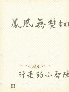 凤凰无双txt