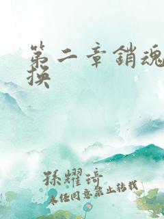 第二章销魂的交换