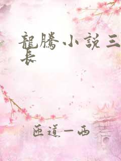 龙腾小说三宝局长