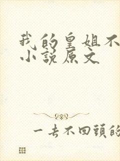 我的皇姐不好惹小说原文