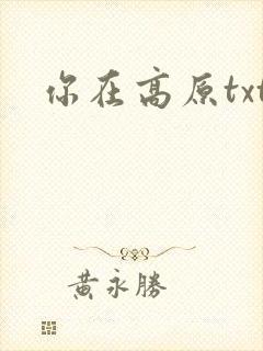 你在高原txt