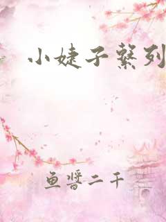 小婕子系列小说