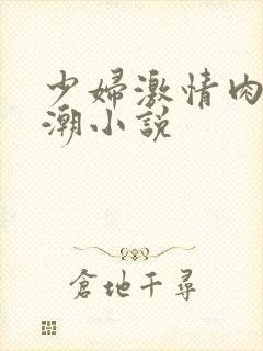 少妇激情肉欲高潮小说