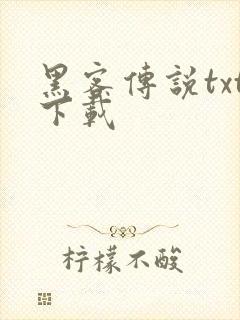 黑客传说txt下载