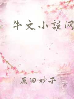 牛文小说网