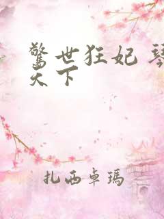 惊世狂妃 琴战天下