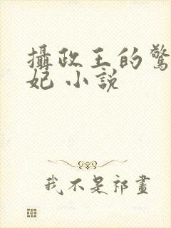 摄政王的惊世嫡妃 小说