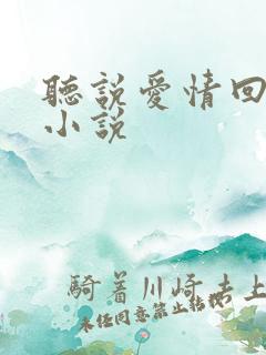 听说爱情回来过小说